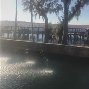 Meet your Posher, Sherrie